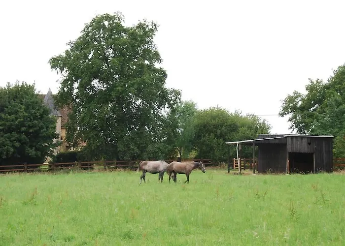 Manoir De Buis * Saint-Celerin